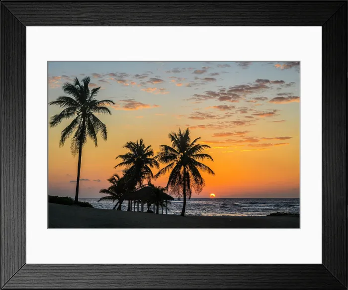 Framed Print : Palm trees on the beach at sunrise, Beach Bay Road Beach, Grand Cayman- Bodden Town, Cayman Islands Framed Print : Palm trees on the beach at sunrise, Beach Bay Road Beach, Grand Cayman- Bodden Town, Cayman Islands