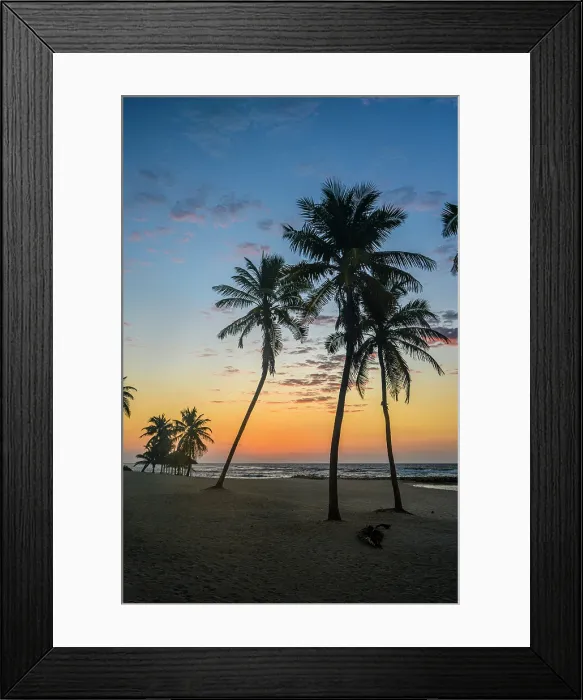 Framed Print : Palm trees on the beach at sunrise, Beach Bay Road Beach, Grand Cayman- Bodden Town, Cayman Islands