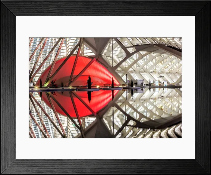 Framed Print : Museu de les Ciencies (Science Museum) reflecting in a shallow pool of water at night, Ciudad de los artes y ciencias (City of Arts and Sciences), Valencia, Spain Framed Print : Museu de les Ciencies (Science Museum) reflecting in a shallow pool of water at night, Ciudad de los artes y ciencias (City of Arts and Sciences), Valencia, Spain