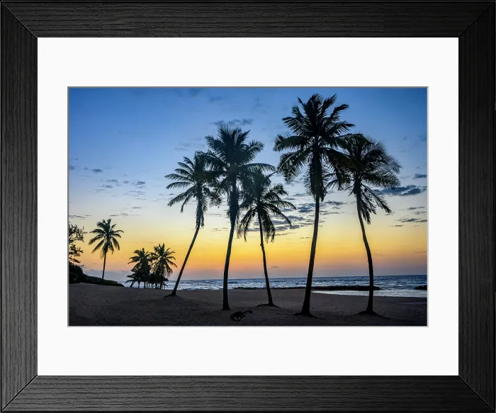 Framed Print : Palm trees on the beach at sunrise, Beach Bay Road Beach, Grand Cayman- Bodden Town, Cayman Islands Framed Print : Palm trees on the beach at sunrise, Beach Bay Road Beach, Grand Cayman- Bodden Town, Cayman Islands