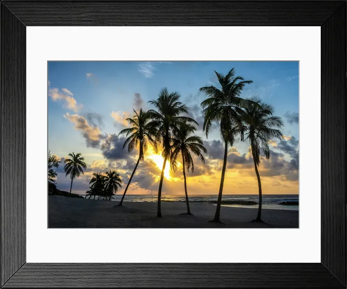 Framed Print : Palm trees on the beach at sunrise, Beach Bay Road Beach, Grand Cayman- Bodden Town, Cayman Islands