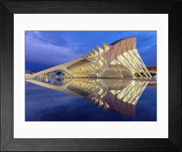 Framed Print : The Museu de les Ciencies (Science Museum) reflecting in a shallow pool of water at dawn, Ciudad de los artes y ciencias (City of Arts and Sciences), Valencia, Spain Framed Print : The Museu de les Ciencies (Science Museum) reflecting in a shallow pool of water at dawn, Ciudad de los artes y ciencias (City of Arts and Sciences), Valencia, Spain
