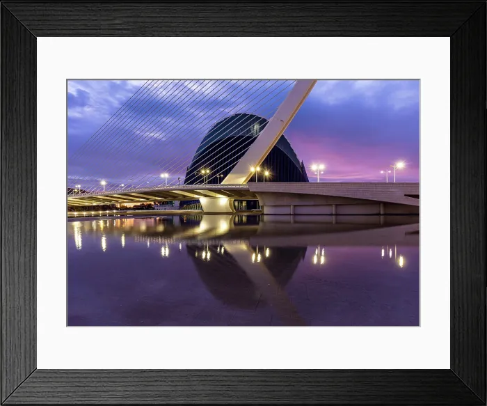 Framed Print : L'√Agora and the Assut de l'Or Bridge reflecting in a shallow pool of water, Ciudad de los artes y ciencias (City of Arts and Sciences), Valencia, Spain Framed Print : L'√Agora and the Assut de l'Or Bridge reflecting in a shallow pool of water, Ciudad de los artes y ciencias (City of Arts and Sciences), Valencia, Spain
