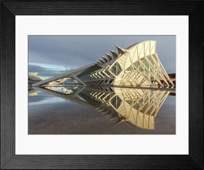 Framed Print : The Museu de les Ciencies (Science Museum) reflecting in water, Ciudad de los artes y ciencias (City of Arts and Sciences), Valencia, Spain
