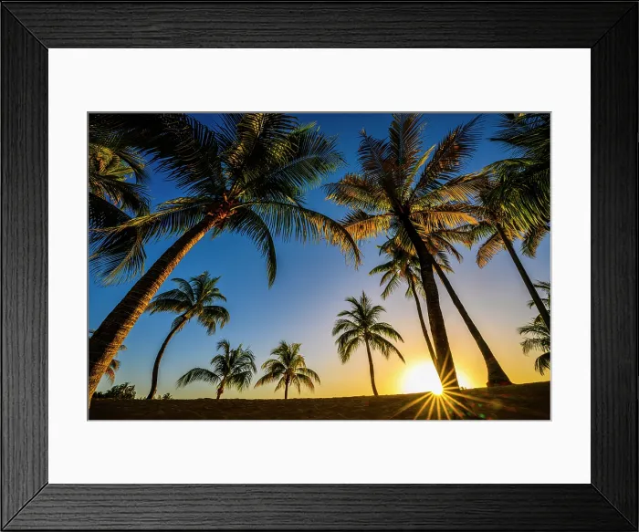 Framed Print : Palm trees at Camana Bay marina at sunrise, George Town, Grand Cayman- George Town, Cayman Islands Framed Print : Palm trees at Camana Bay marina at sunrise, George Town, Grand Cayman- George Town, Cayman Islands