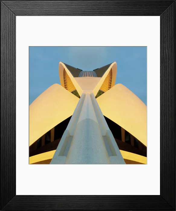 Framed Print : Palau de les Arts Reina Sofia (Queen Sofia Palace of the Arts), Ciudad de los artes y ciencias (City of Arts and Sciences), Valencia, Spain Framed Print : Palau de les Arts Reina Sofia (Queen Sofia Palace of the Arts), Ciudad de los artes y ciencias (City of Arts and Sciences), Valencia, Spain