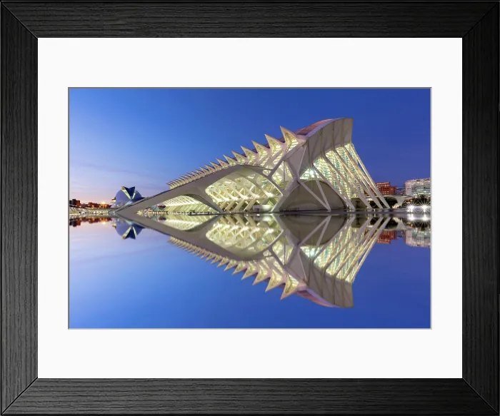 Framed Print : The Museu de les Ciencies (Science Museum) reflecting in a pool, Ciudad de los artes y ciencias (City of Arts and Sciences), Valencia, Spain Framed Print : The Museu de les Ciencies (Science Museum) reflecting in a pool, Ciudad de los artes y ciencias (City of Arts and Sciences), Valencia, Spain
