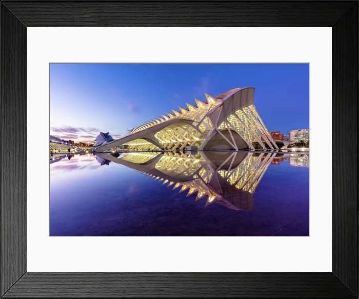 Framed Print : The Museu de les Ciencies (Science Museum) reflecting in a pool, Ciudad de los artes y ciencias (City of Arts and Sciences), Valencia, Spain Framed Print : The Museu de les Ciencies (Science Museum) reflecting in a pool, Ciudad de los artes y ciencias (City of Arts and Sciences), Valencia, Spain