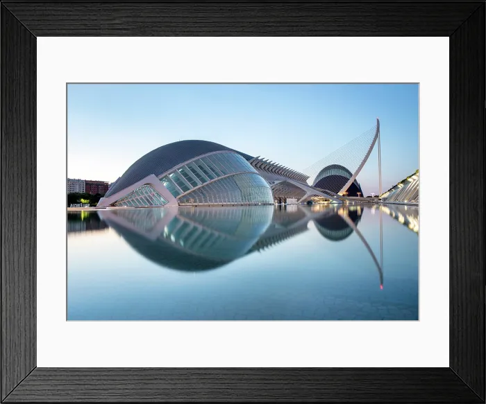 Framed Print : The Ciudad de los artes y ciencias (City of Arts and Sciences) reflecting in a shallow pool of water at dawn, Valencia, Spain Framed Print : The Ciudad de los artes y ciencias (City of Arts and Sciences) reflecting in a shallow pool of water at dawn, Valencia, Spain
