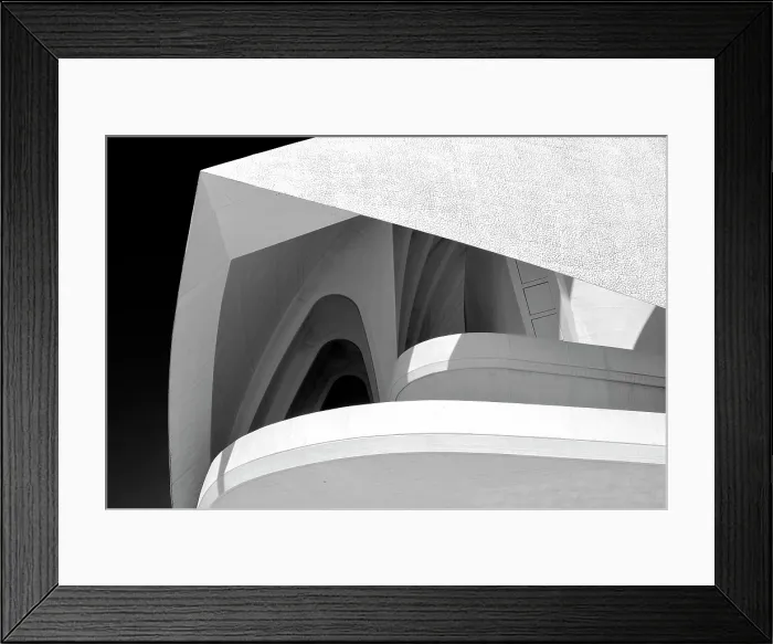 Framed Print : Palau de les Arts Reina Sofia (Queen Sofia Palace of the Arts), Ciudad de los artes y ciencias (City of Arts and Sciences), Valencia, Spain Framed Print : Palau de les Arts Reina Sofia (Queen Sofia Palace of the Arts), Ciudad de los artes y ciencias (City of Arts and Sciences), Valencia, Spain