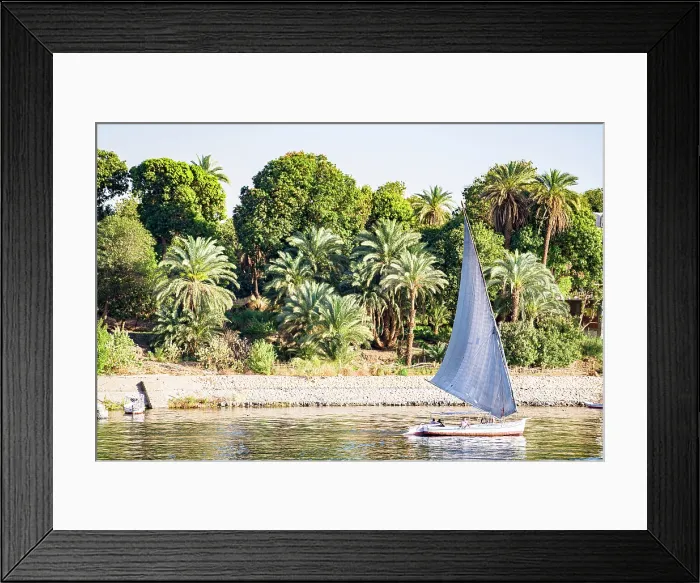 Framed Print : Felucca sailing near palm trees on the Nile River, Aswan, Egypt Framed Print : Felucca sailing near palm trees on the Nile River, Aswan, Egypt