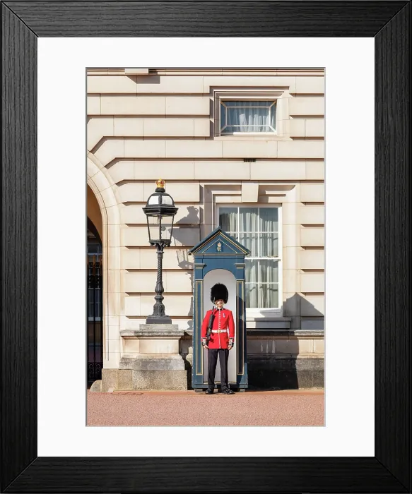 Framed Print : Queen's Guard at Buckingham Palace, City of Westminster, London, England Framed Print : Queen's Guard at Buckingham Palace, City of Westminster, London, England