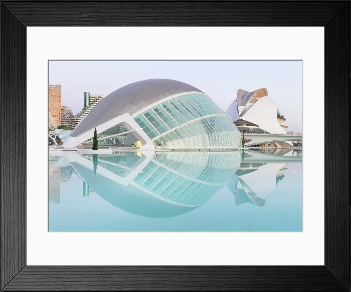 Framed Print : The Ciudad de los artes y ciencias (City of Arts and Sciences) reflecting in water, Valencia, Spain Framed Print : The Ciudad de los artes y ciencias (City of Arts and Sciences) reflecting in water, Valencia, Spain