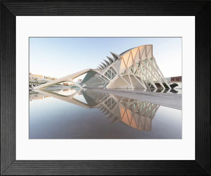 Framed Print : The Museu de les Ciencies (Science Museum) reflecting in water, Ciudad de los artes y ciencias (City of Arts and Sciences), Valencia, Spain Framed Print : The Museu de les Ciencies (Science Museum) reflecting in water, Ciudad de los artes y ciencias (City of Arts and Sciences), Valencia, Spain