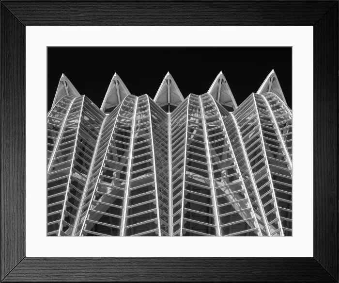 Framed Print : Museu de les Ciencies (Science Museum), Ciudad de los artes y ciencias (City of Arts and Sciences), Valencia, Spain Framed Print : Museu de les Ciencies (Science Museum), Ciudad de los artes y ciencias (City of Arts and Sciences), Valencia, Spain