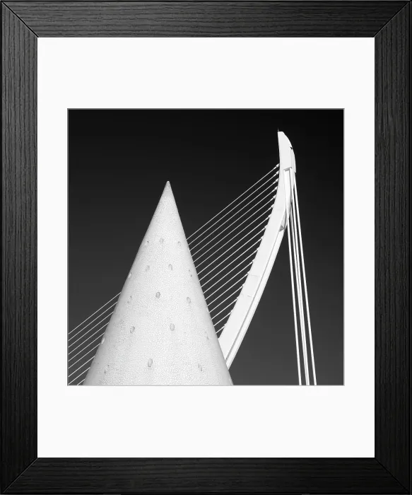 Framed Print : Detail of conical elevator shaft and the Assut d'lor Bridge, Ciudad de los artes y ciencias (City of Arts and Sciences), Valencia, Spain Framed Print : Detail of conical elevator shaft and the Assut d'lor Bridge, Ciudad de los artes y ciencias (City of Arts and Sciences), Valencia, Spain