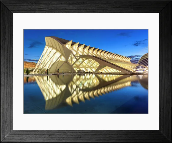 Framed Print : Museu de les Ciencies (Science Museum) reflecting in a pool, Ciudad de los artes y ciencias (City of Arts and Sciences), Valencia, Spain Framed Print : Museu de les Ciencies (Science Museum) reflecting in a pool, Ciudad de los artes y ciencias (City of Arts and Sciences), Valencia, Spain