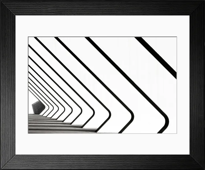 Framed Print : Repeated architectural features of the Science Museum, Ciudad de los artes y ciencias (City of Arts and Sciences), Valencia, Spain Framed Print : Repeated architectural features of the Science Museum, Ciudad de los artes y ciencias (City of Arts and Sciences), Valencia, Spain
