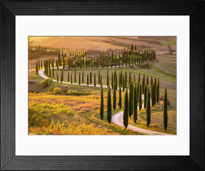 Framed Print : Winding road lined with cypress trees leading to Podere Baccoleno, Asciano, Crete senesi, Tuscany, Italy Framed Print : Winding road lined with cypress trees leading to Podere Baccoleno, Asciano, Crete senesi, Tuscany, Italy