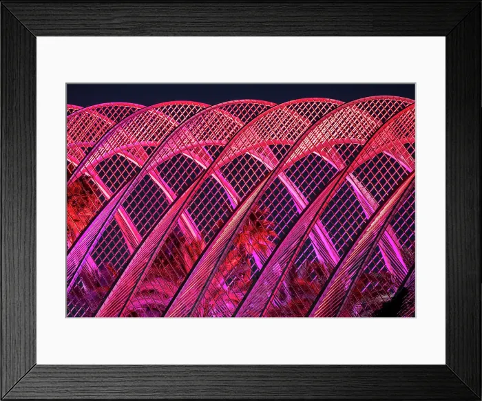 Framed Print : L'Umbracle covered garden, floodlit at night, Ciudad de los artes y ciencias (City of Arts and Sciences), Valencia, Spain Framed Print : L'Umbracle covered garden, floodlit at night, Ciudad de los artes y ciencias (City of Arts and Sciences), Valencia, Spain