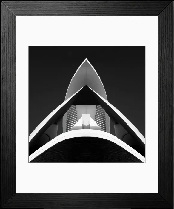Framed Print : Palau de les Arts Reina Sofia (Queen Sofia Palace of the Arts), Ciudad de los artes y ciencias (City of Arts and Sciences), Valencia, Spain Framed Print : Palau de les Arts Reina Sofia (Queen Sofia Palace of the Arts), Ciudad de los artes y ciencias (City of Arts and Sciences), Valencia, Spain