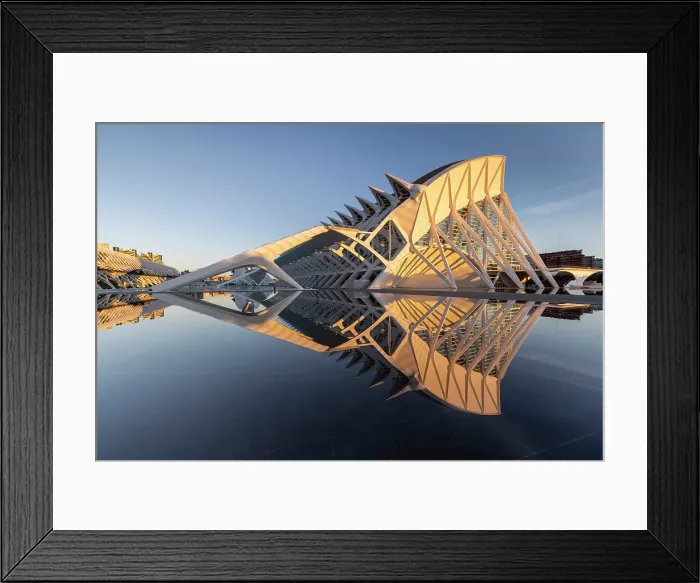 Framed Print : The Museu de les Ciencies (Science Museum) reflecting in water, Ciudad de los artes y ciencias (City of Arts and Sciences), Valencia, Spain Framed Print : The Museu de les Ciencies (Science Museum) reflecting in water, Ciudad de los artes y ciencias (City of Arts and Sciences), Valencia, Spain