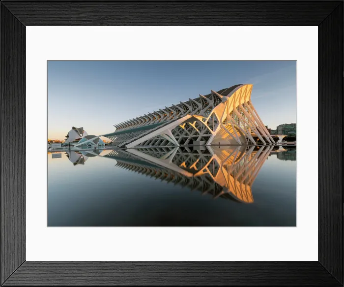 Framed Print : The Museu de les Ciencies (Science Museum) reflecting in water, Ciudad de los artes y ciencias (City of Arts and Sciences), Valencia, Spain Framed Print : The Museu de les Ciencies (Science Museum) reflecting in water, Ciudad de los artes y ciencias (City of Arts and Sciences), Valencia, Spain