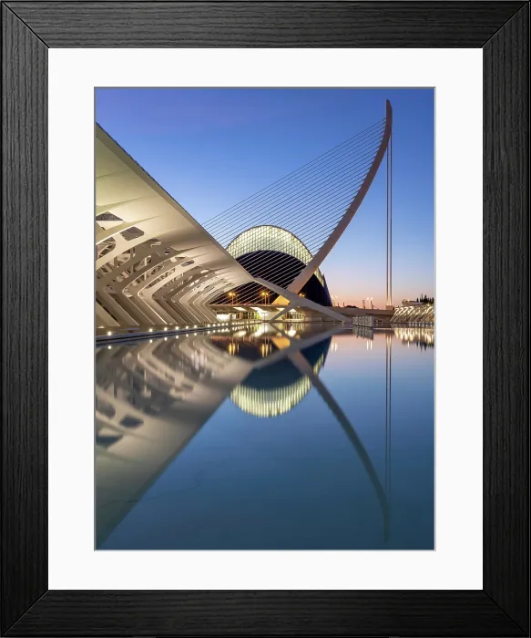 Framed Print : Classic view of the Ciudad de los artes y ciencias (City of Arts and Sciences) at dawn, Valencia, Spain Framed Print : Classic view of the Ciudad de los artes y ciencias (City of Arts and Sciences) at dawn, Valencia, Spain
