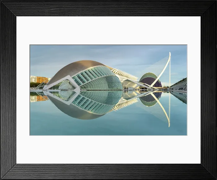 Framed Print : Classic view of the Ciudad de los artes y ciencias (City of Arts and Sciences), Valencia, Spain Framed Print : Classic view of the Ciudad de los artes y ciencias (City of Arts and Sciences), Valencia, Spain