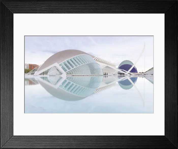 Framed Print : Classic view of the Ciudad de los artes y ciencias (City of Arts and Sciences), Valencia, Spain Framed Print : Classic view of the Ciudad de los artes y ciencias (City of Arts and Sciences), Valencia, Spain
