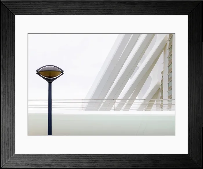 Framed Print : Abstract detail of the Museu de les Ciencies (Science Museum), Ciudad de los artes y ciencias (City of Arts and Sciences), Valencia, Spain Framed Print : Abstract detail of the Museu de les Ciencies (Science Museum), Ciudad de los artes y ciencias (City of Arts and Sciences), Valencia, Spain