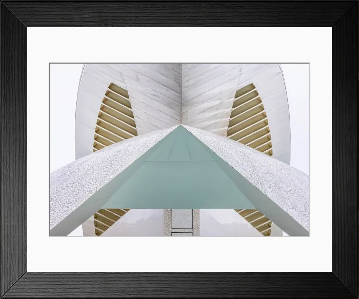 Framed Print : Detail of the Palau de les Arts Reina Sofia (Queen Sofia Palace of the Arts), Ciudad de los artes y ciencias (City of Arts and Sciences), Valencia, Spain Framed Print : Detail of the Palau de les Arts Reina Sofia (Queen Sofia Palace of the Arts), Ciudad de los artes y ciencias (City of Arts and Sciences), Valencia, Spain