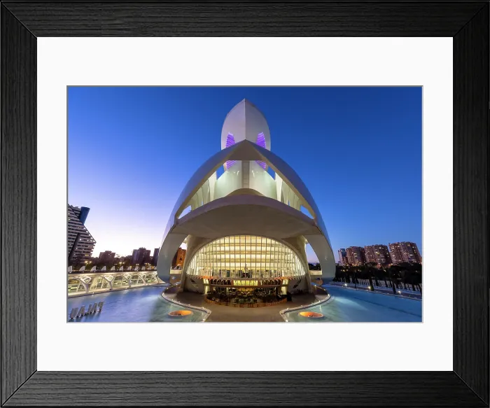 Framed Print : The Palau de les Arts Reina Sofia (Queen Sofia Palace of the Arts), Ciudad de los artes y ciencias (City of Arts and Sciences), Valencia, Spain Framed Print : The Palau de les Arts Reina Sofia (Queen Sofia Palace of the Arts), Ciudad de los artes y ciencias (City of Arts and Sciences), Valencia, Spain