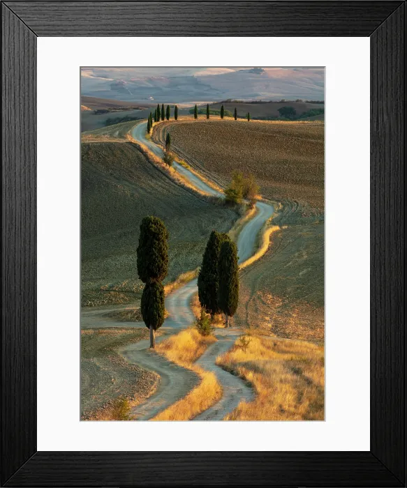 Framed Print : Gravel track and cypress trees, Val d'Orcia, near Pienza, Tuscany, Italy Framed Print : Gravel track and cypress trees, Val d'Orcia, near Pienza, Tuscany, Italy