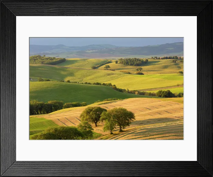 Framed Print : The rolling landscape of the Val d'Orcia, near San Quirico d'Orcia, Tuscany, Italy Framed Print : The rolling landscape of the Val d'Orcia, near San Quirico d'Orcia, Tuscany, Italy