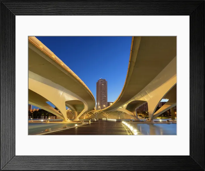 Framed Print : PFloodlit road bridges, Ciudad de los artes y ciencias (City of Arts and Sciences), Valencia, Spain Framed Print : PFloodlit road bridges, Ciudad de los artes y ciencias (City of Arts and Sciences), Valencia, Spain