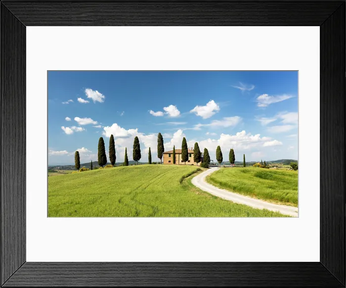 Framed Print : Farmhouse and cypress trees, near Pienza, Val d'Orcia, Tuscany, Italy Framed Print : Farmhouse and cypress trees, near Pienza, Val d'Orcia, Tuscany, Italy
