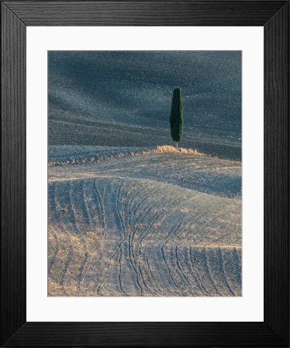 Framed Print : Cypress tree and ploughed fields in late summer, Val d'Orcia, Tuscany, Italy Framed Print : Cypress tree and ploughed fields in late summer, Val d'Orcia, Tuscany, Italy