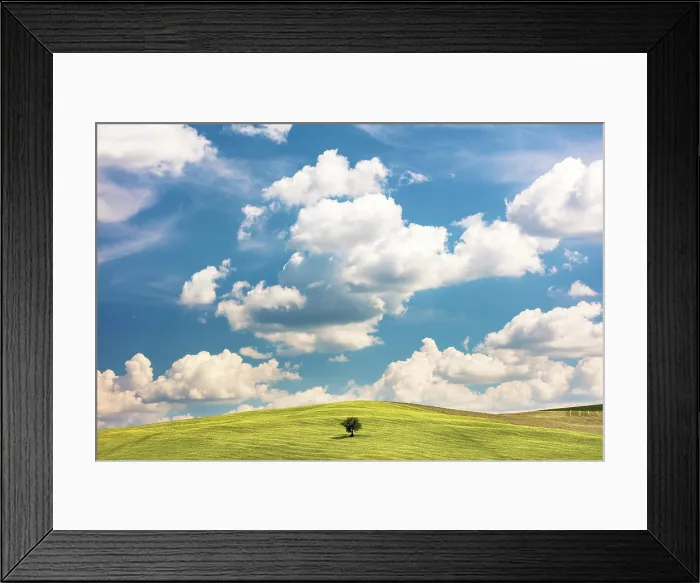 Framed Print : Tree on a hill, Montechiello, Province of Siena, Tuscany, Italy Framed Print : Tree on a hill, Montechiello, Province of Siena, Tuscany, Italy