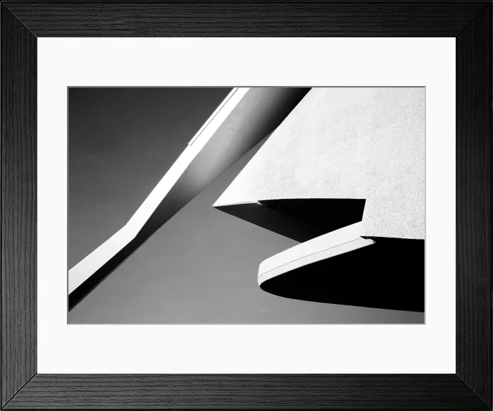 Framed Print : Detail of the Palau de les Arts Reina Sofia in infrared, Ciudad de los artes y ciencias (City of Arts and Sciences), Valencia, Spain Framed Print : Detail of the Palau de les Arts Reina Sofia in infrared, Ciudad de los artes y ciencias (City of Arts and Sciences), Valencia, Spain