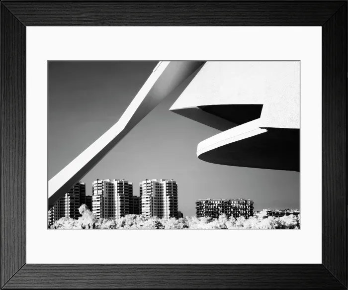 Framed Print : Detail of the Palau de les Arts Reina Sofia in infrared, Ciudad de los artes y ciencias (City of Arts and Sciences), Valencia, Spain Framed Print : Detail of the Palau de les Arts Reina Sofia in infrared, Ciudad de los artes y ciencias (City of Arts and Sciences), Valencia, Spain