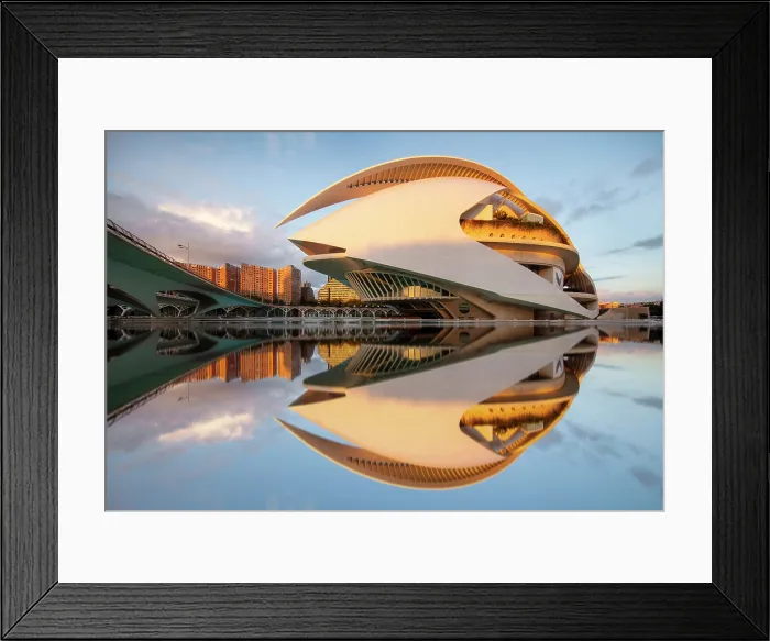 Framed Print : The Palau de les Arts Reina Sofia (Queen Sofia Palace of the Arts), Ciudad de los artes y ciencias (City of Arts and Sciences), Valencia, Spain