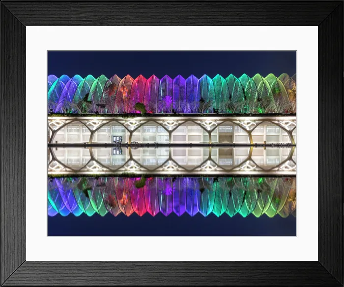 Framed Print : L'Umbracle covered garden, floodlit at night, Ciudad de los artes y ciencias (City of Arts and Sciences), Valencia, Spain Framed Print : L'Umbracle covered garden, floodlit at night, Ciudad de los artes y ciencias (City of Arts and Sciences), Valencia, Spain