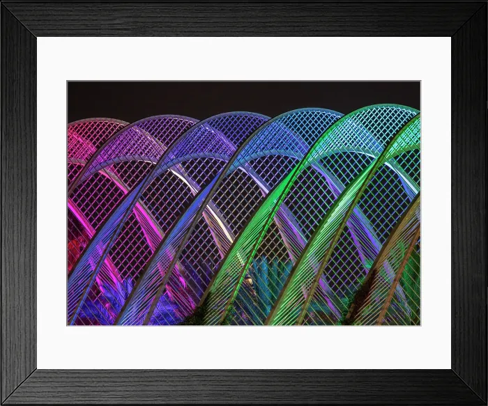 Framed Print : L'Umbracle covered garden, floodlit at night, Ciudad de los artes y ciencias (City of Arts and Sciences), Valencia, Spain Framed Print : L'Umbracle covered garden, floodlit at night, Ciudad de los artes y ciencias (City of Arts and Sciences), Valencia, Spain