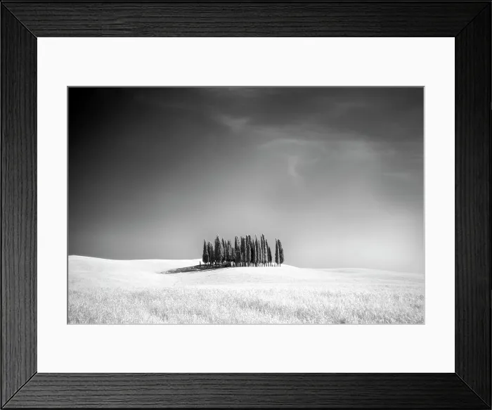 Framed Print : Infrared view of famous clump of cypress trees, Val d'Orcia, near San Quirico d'Orcia, Tuscany, Italy Framed Print : Infrared view of famous clump of cypress trees, Val d'Orcia, near San Quirico d'Orcia, Tuscany, Italy
