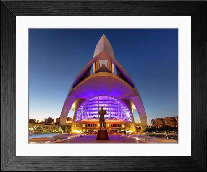 Framed Print : The Palau de les Arts Reina Sofia (Queen Sofia Palace of the Arts), Ciudad de los artes y ciencias (City of Arts and Sciences), Valencia, Spain