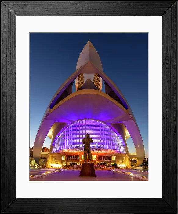 Framed Print : The Palau de les Arts Reina Sofia (Queen Sofia Palace of the Arts), Ciudad de los artes y ciencias (City of Arts and Sciences), Valencia, Spain Framed Print : The Palau de les Arts Reina Sofia (Queen Sofia Palace of the Arts), Ciudad de los artes y ciencias (City of Arts and Sciences), Valencia, Spain