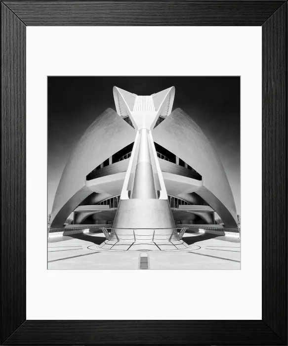 Framed Print : The Palau de les Arts Reina Sofia in infrared, Ciudad de los artes y ciencias (City of Arts and Sciences), Valencia, Spain Framed Print : The Palau de les Arts Reina Sofia in infrared, Ciudad de los artes y ciencias (City of Arts and Sciences), Valencia, Spain