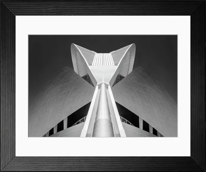 Framed Print : Detail of the Palau de les Arts Reina Sofia in infrared, Ciudad de los artes y ciencias (City of Arts and Sciences), Valencia, Spain Framed Print : Detail of the Palau de les Arts Reina Sofia in infrared, Ciudad de los artes y ciencias (City of Arts and Sciences), Valencia, Spain