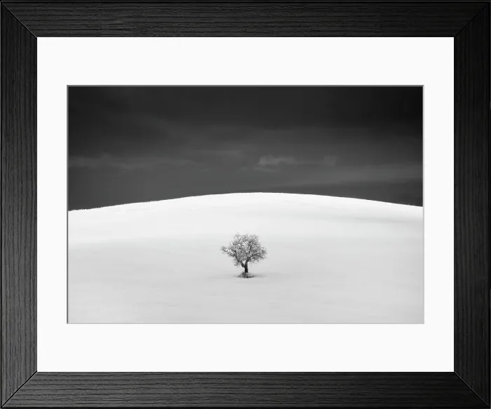 Framed Print : Infrared view tree in field, Montecchiello, Tuscany, Italy Framed Print : Infrared view tree in field, Montecchiello, Tuscany, Italy